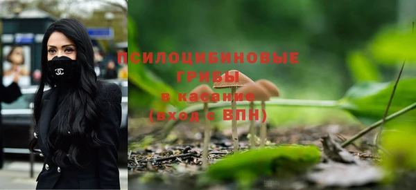 прущие грибы Арсеньев