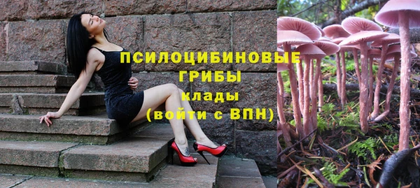 прущие грибы Арсеньев