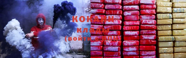 прущие грибы Арсеньев