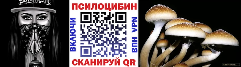 Галлюциногенные грибы мицелий  цены   Минусинск 